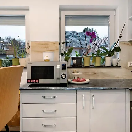 Haus Apartman Schliengen